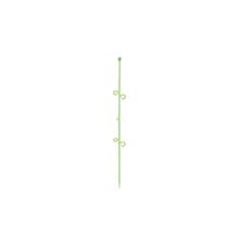 Bild Orchideco elegance (lime)