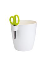 Bild Brussels herbs single L, Vit