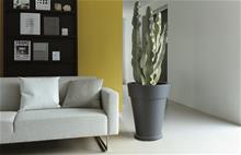 Bild Pure Round High 55cm Anthracite