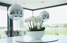 Bild Pure soft bowl 50 Vit