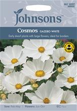 Bild Rosenskära 'Gazebo White', frö