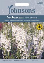 Bild Violkungsljus 'Flush of White' frö