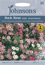 Bild Solvända 'Rock Rose' mix, frö