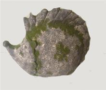 Bild Igelkott liggande- Mossa 21cm