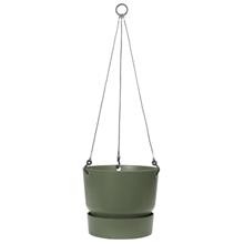 Bild Greenville 'Hanging Basket' 24cm - Leaf Green