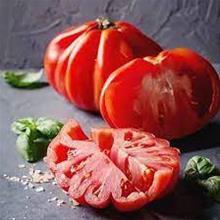 Bild Bifftomat 'Coeur de Boeuf' yrkesodlarfrö