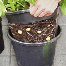 Bild Potatiskruka 12liter