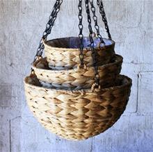 Bild Hängampel Konstrotting, Natur, Liten