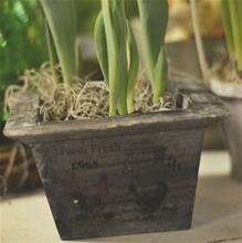 Bild Träkruka, Mörk 15*18H