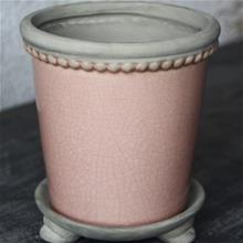 Bild Inomhuskruka Rosa inkl fat D11cm