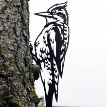 Bild Siluett 'Hackspett' 31x14cm