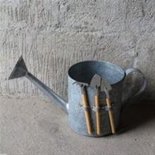 Bild Ytterkruka 'Vattenkanna m Redskap'