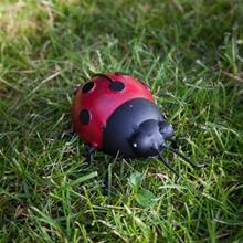 Bild Nyckelpiga 9x5cm