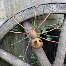 Bild Spindel, Magnet, 20cm, rost