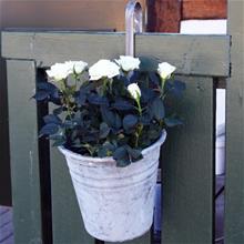 Bild Hängampel 17 x 16cm Zink