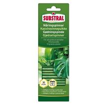 Bild Substral Näringspinnar Gröna växter