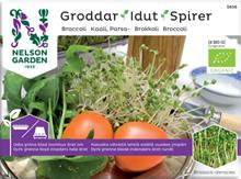 Bild Groddar 'Broccoli' Organic