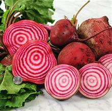 Bild Rödbeta 'Chioggia' yrkesodlarfrö