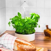 Bild Sunlite MiniHerb S ø23cm m. tråg