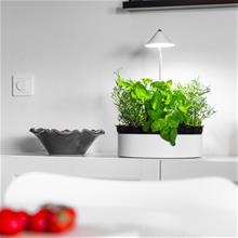 Bild Sunlite MiniHerb L ø31cm m. tråg