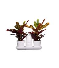 Bild Minigarden Basic M, Pots Vit