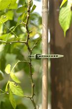 Bild Bindtråd 'Treefix' S, 10-p