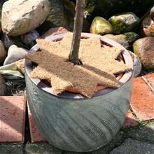 Bild Ogrässkydd 'CocoPro Star' Beige D35cm