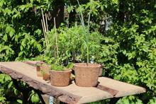 Bild Planteringskruka, Kokosfiber 1l