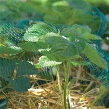 Bild Bärnät Grön 4x5m