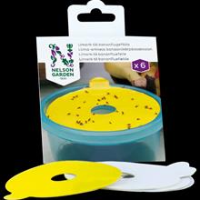 Bild Bananflugfälla, Lim-ark till