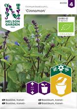 Bild Basilika 'Cinnamon' Organic frö