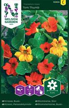 Bild Buskkrasse 'Tom Thumb' frö