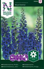 Bild Praktriddarsporre 'Blue Donna' frö