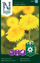 Bild Ringblomma 'Kinglet Yellow' frö