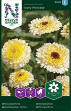 Bild Ringblomma 'Ivory Princess' frö