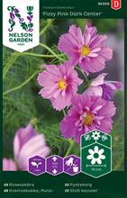 Bild Rosenskära 'Fizzy Pink Dark Center'