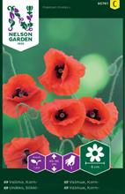 Bild Kornvallmo frö