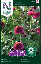 Bild Zinnia 'Cresto! Violet' frö