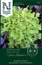 Bild Plocksallat 'Salad Bowl' frö