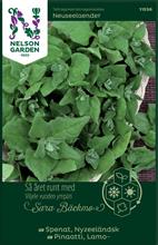 Bild Spenat 'Nyzeeländsk' frö