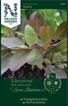 Bild Trädgårdsmålla 'Rubra' frö