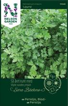 Bild Bladpersilja 'Laura' frö