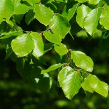 Bild Bok Utr 100-125 co