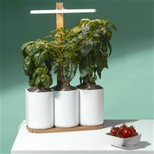 Bild Hydroponisk Odling 'Lilo' Startpaket