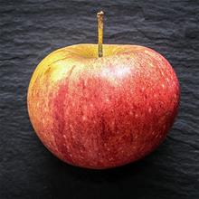 Bild Äpple 'Cox Pomona' A2 co