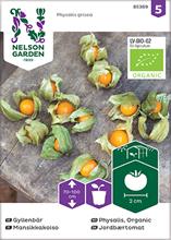 Bild Gyllenbär Organic frö