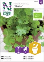 Bild Koriander 'Marino' Organic frö