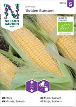 Bild Majs 'Golden Bantam' Organic frö