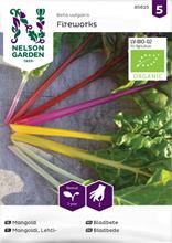 Bild Mangold 'Fireworks' Organic