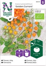 Bild Tomat (Hög) 'Golden Currant' Organic frö